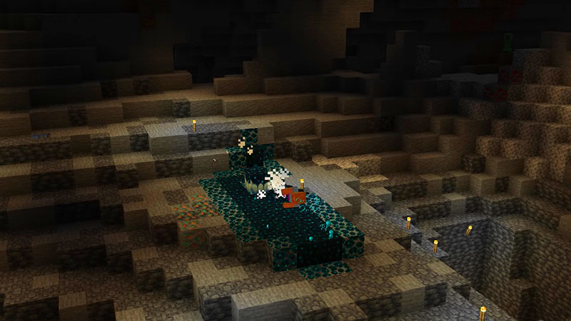 download minecraft 1.19 