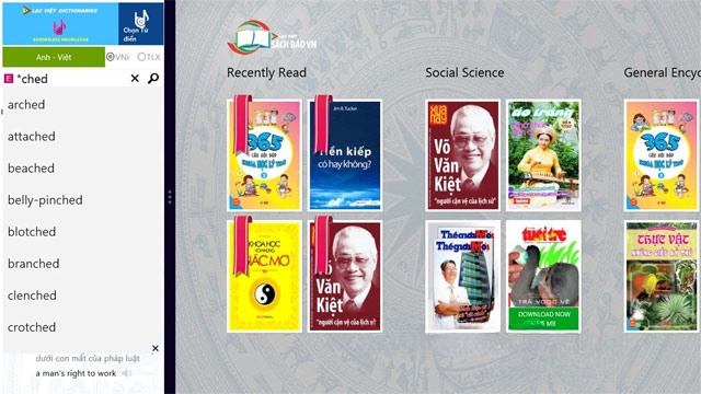 Giao diện Lạc Việt Dictionaries