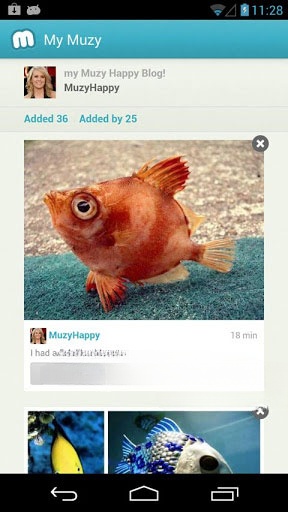 Muzy