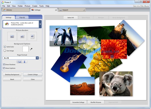 Picasa