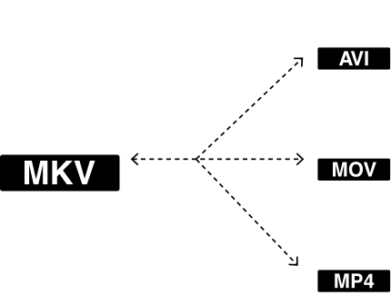 chuyển đổi video