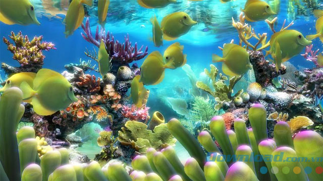 Hiệu ứng và nhạc nền hấp dẫn