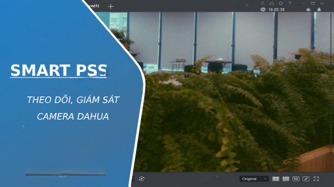 tai smart pss