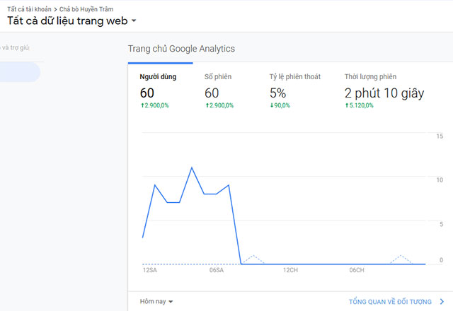 Phần mềm tăng traffic cho website