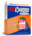  Solid PDF to Word  icon