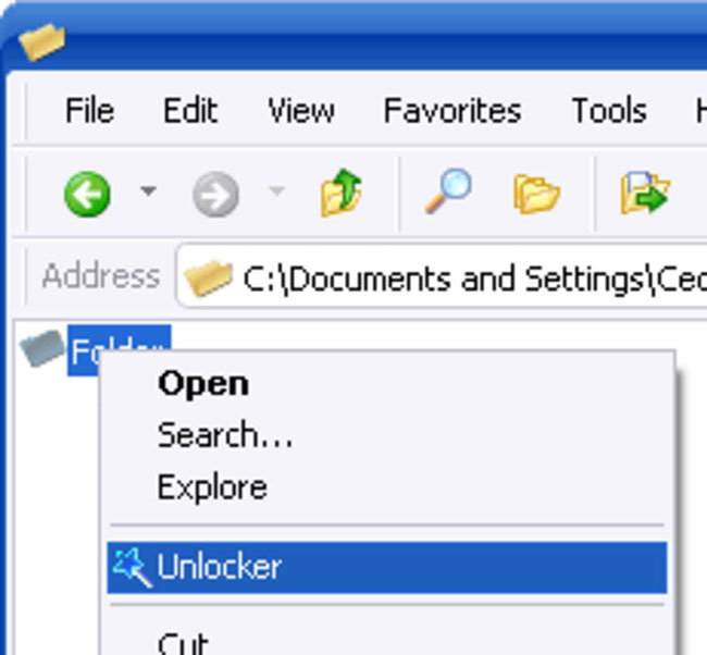 Cửa sổ chứa danh sách file bị khóa của Unlocker